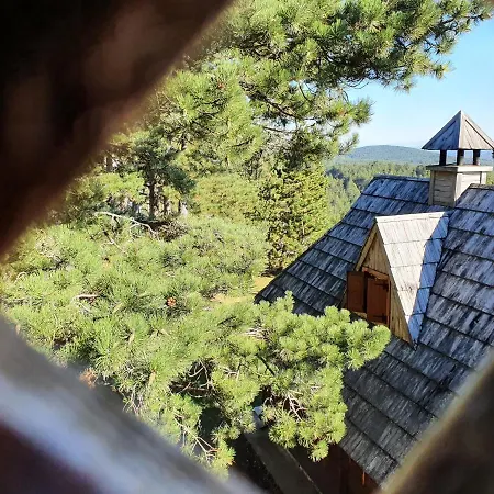 Tara מלון קאלודיירסקה בארה